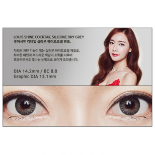 LENS-ME Dry Gray (日拋)